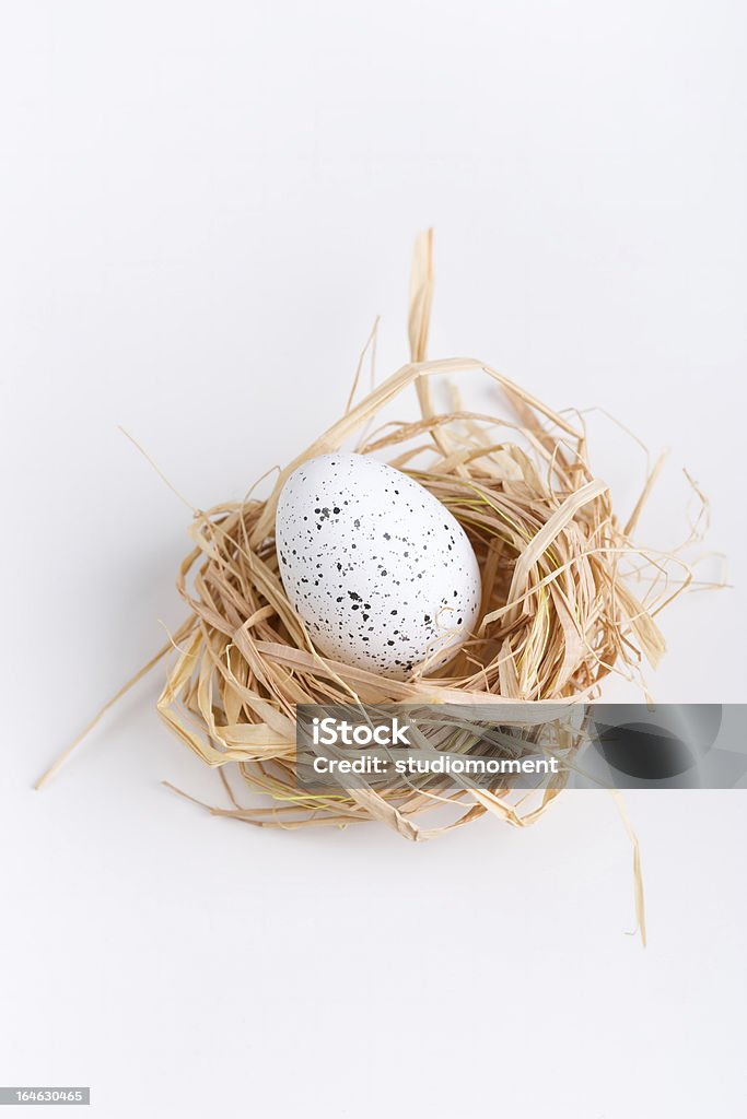 Huevo de pascua en hierba y anidado sobre blanco - Foto de stock de Amarillo - Color libre de derechos