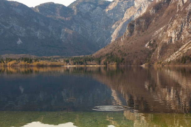 spiegelungen des bleder sees und der julischen alpen in der frühlingssaison foto, radovljica bled, slowenien - julian alps mountain lake reflection stock-fotos und bilder