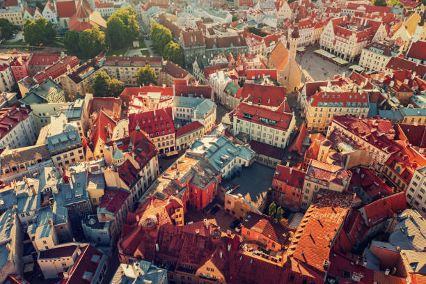 istock Aerial View of Tallinn 1646305360