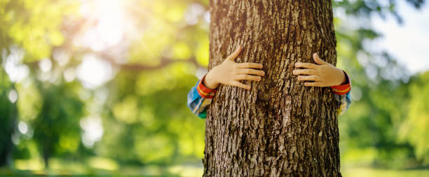 istock Child hugging an old tree in the natural park. 1646306976