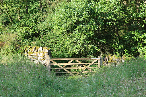 Wooden gate leading from a field into a woodland in summer
