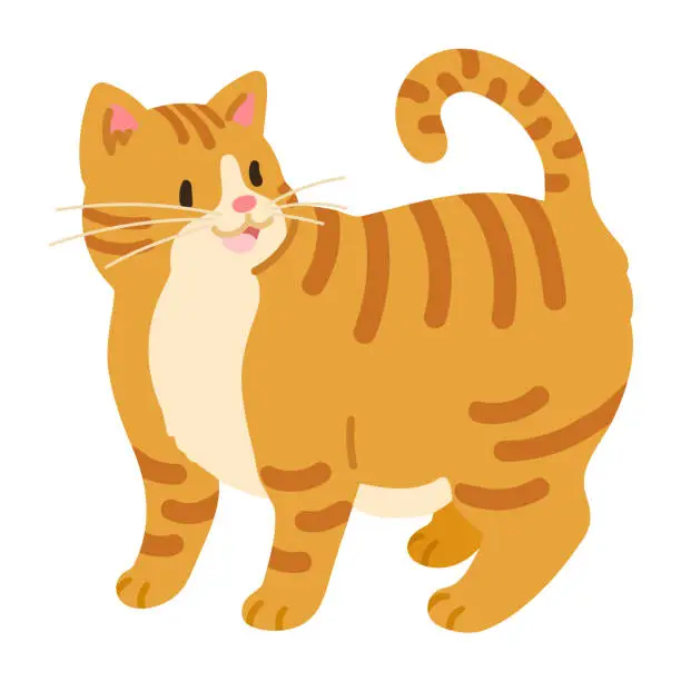 Vector illustration of Simple and adorable illustration of happy orange tabby cat talking flat colored