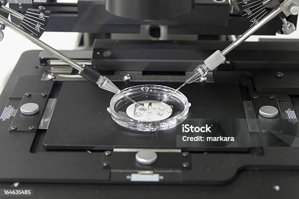 Microscopio In Laboratorio Biobased - Fotografie stock e altre immagini di Analizzare - Analizzare, Argentato, Argento