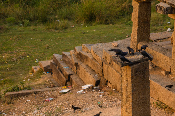 istock Ruins along the Tungabhadra River in Hampi, India 1646361528