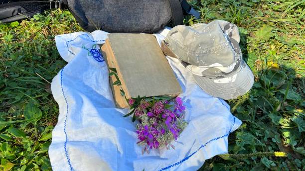 istock Reading a book in the park 1646365696