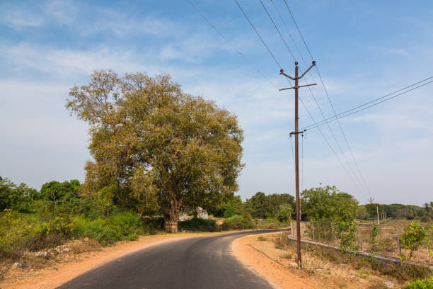 istock Hampi Road in Hampi, India 1646366346