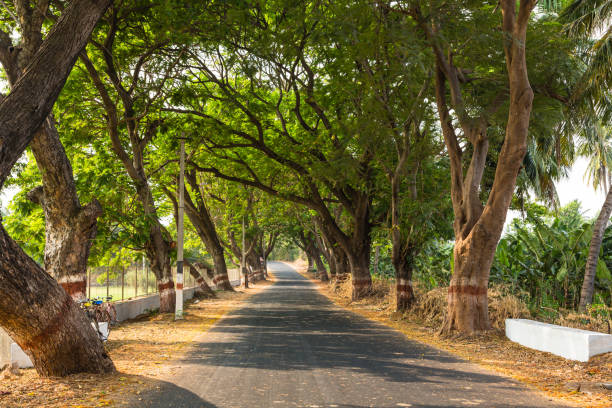 istock Hampi Road in Hampi, India 1646366877