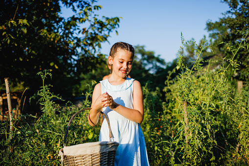 Smiling girl carrying basket in vegetable garden