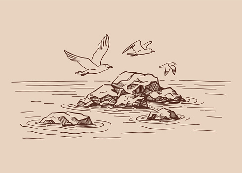 Landscape, sea, rocks, seagulls. Hand drawn illustration