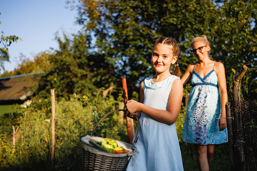 Little girl carrying basket with fresh vegetables