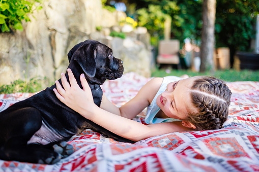 Cute girl cuddle Cane Corso puppy while lying down in back yard