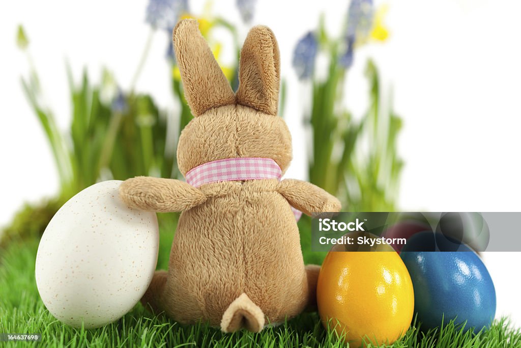 Bunny with colorful Easter eggs Bunny with colorful Easter eggs and spring flowers in the background Animal Stock Photo