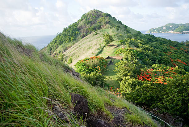 istock scenic green lush mountainous park landscape 164637709