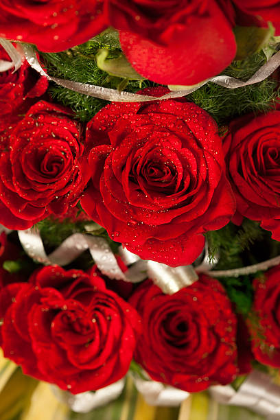 istock Red rose flowers  with sparkle particles 164639564