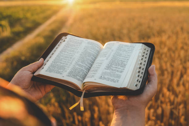 istock Open bible in hands, wheat field and road, christian concept 1646413841