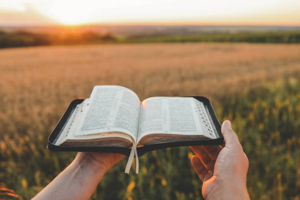 istock Open bible in hands, sunset in the wheat field, christian concept 1646413849
