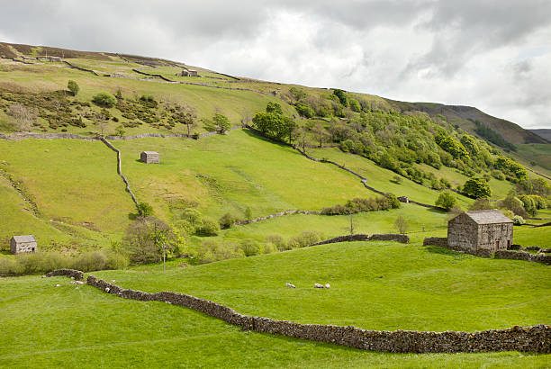 istock Swaledale in the Yorkshire Dales 164642275