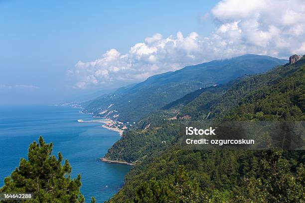 黒海の海岸北トルコ - トルコのストックフォトや画像を多数ご用意 - トルコ, バケーション, 丘
