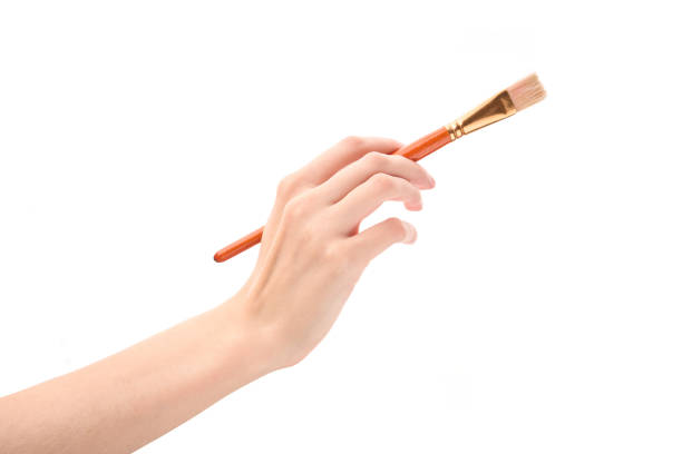 Female hand with brush on white background. Hand with a brush