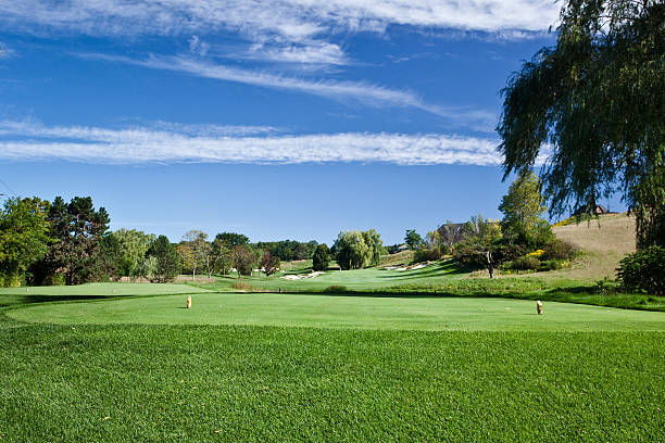 campo de golfe - tee box imagens e fotografias de stock