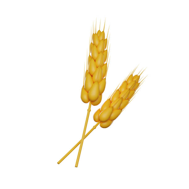 istock Two ears of wheat. 3D render icon 1646440396