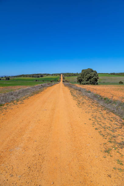 istock Rural road in the Spanish countryside 1646442751