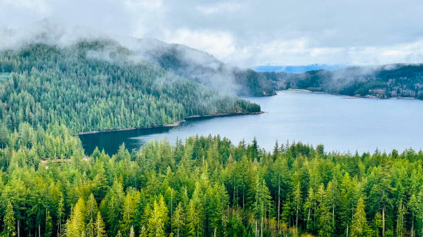 istock Islands of British Columbia 1646443915