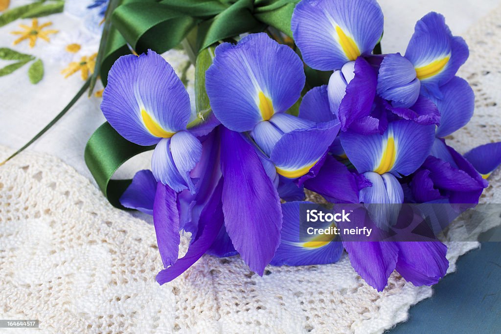 iris Blumen - Lizenzfrei Baumblüte Stock-Foto