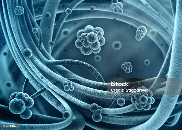 Concetto Di Batteri - Fotografie stock e altre immagini di Batterio - Batterio, Biologia, Cellula