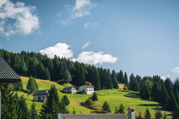 Summer hiking in the Swiss Alps