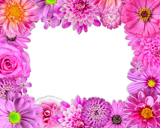 istock Flower Frame Pink, Purple, Red Flowers on White 164644730