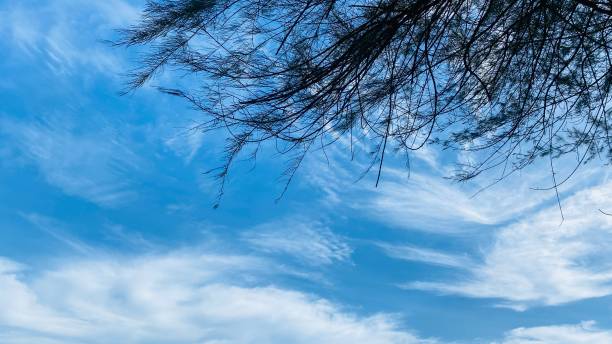 istock blue sky and white clouds in summer at the beach 1646461483
