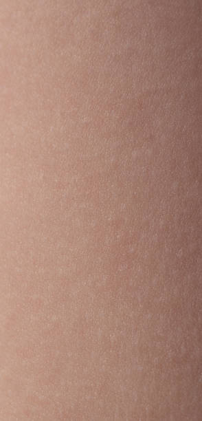 istock Clean soft detailed skin background 1646466072