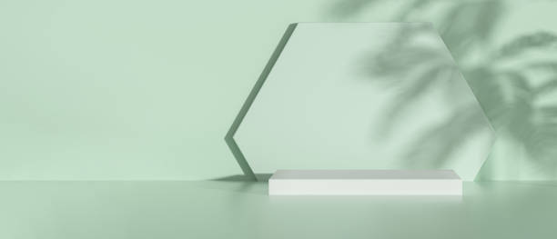 istock Panoramic podium for ecological product presentation with shadow of plants on green background. 1646470955