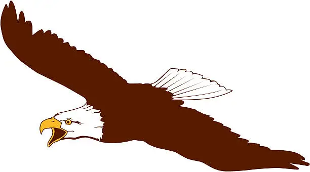 Vector illustration of Eagle Soars