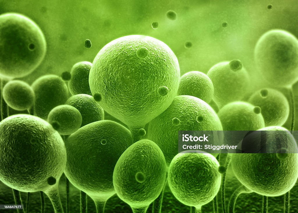 Bacteria concept SEM Bacteria 3d concept illustration Backgrounds Stock Photo