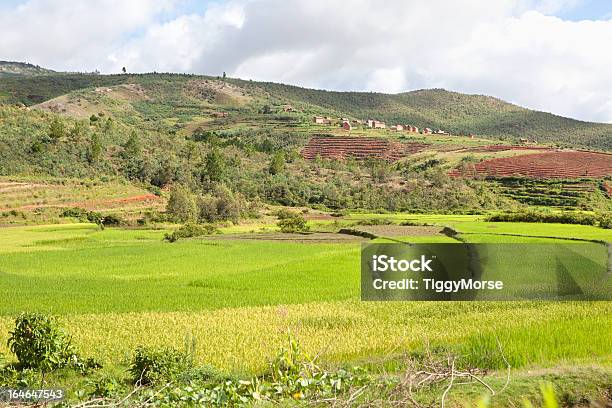 Reisterrassen Madagaskar Stockfoto und mehr Bilder von Afrika - Afrika, Anhöhe, Dorf