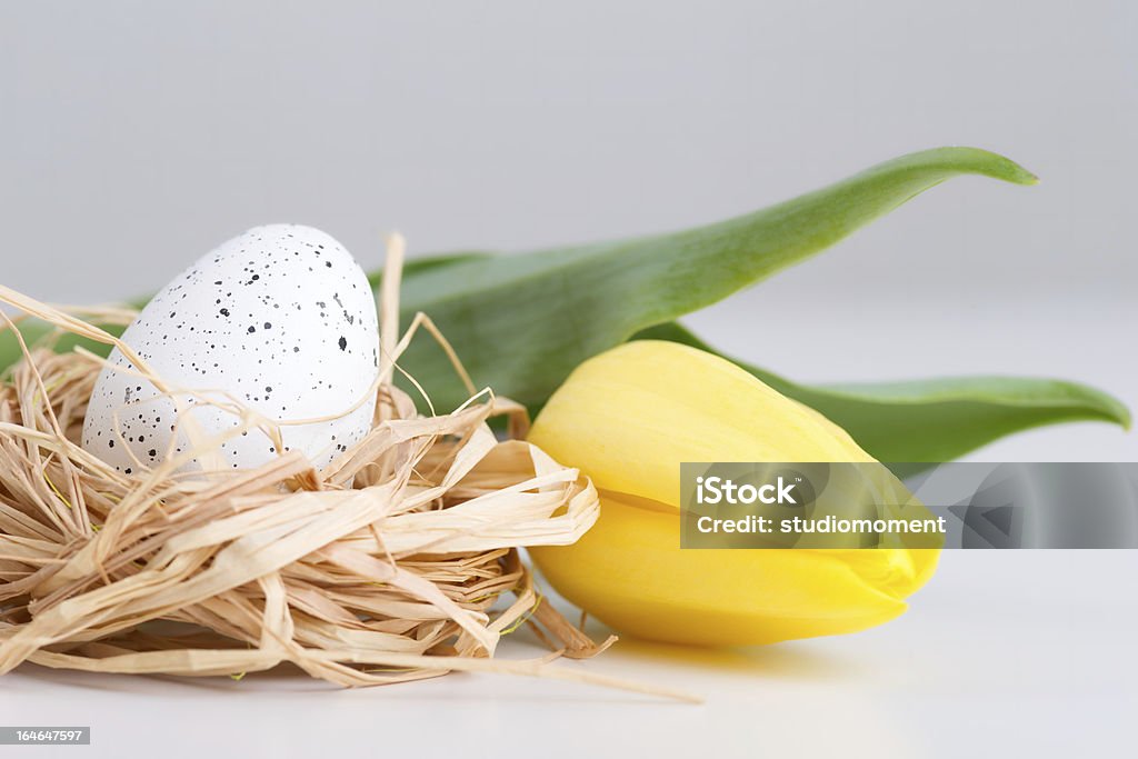 Tulipe, Oeuf de Pâques dans le nid - Photo de Couleur libre de droits