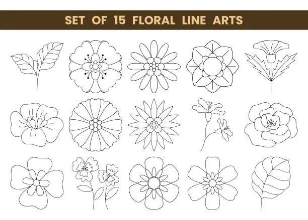 Vector illustration of Set of 15 floral line arts. Design elements with floral theme.