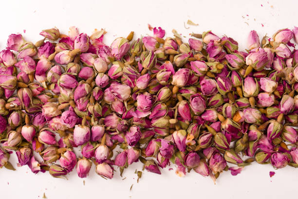 istock Dry tea roses isolated on white background. 1646492273