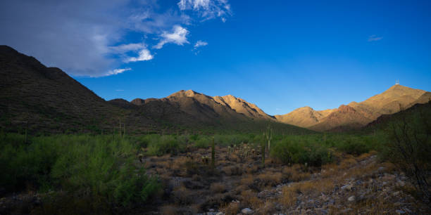 istock Dramatic lighting at base of McDowell Mountains 1646495761