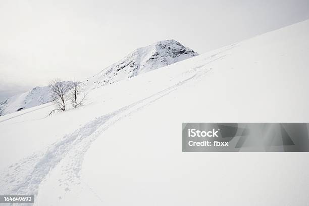 パウダースノーお楽しみいただけます - あこがれのストックフォトや画像を多数ご用意 - あこがれ, イタリア, イタリア ピエモンテ州