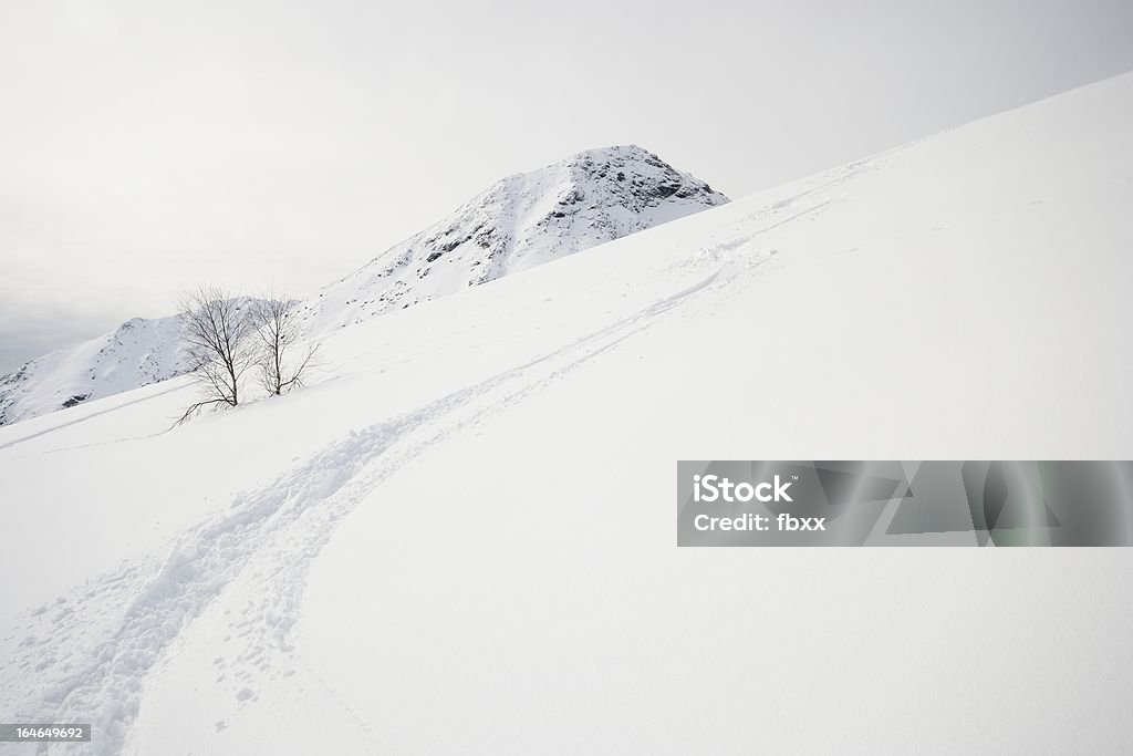 Desfrutando de Neve Seca e Solta - Foto de stock de Alpes europeus royalty-free