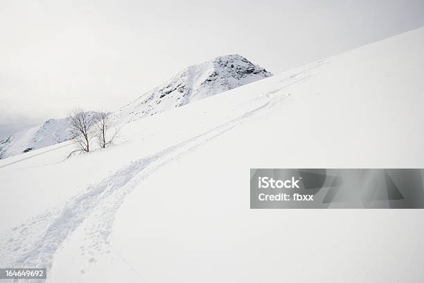Foto de Desfrutando De Neve Seca E Solta e mais fotos de stock de Alpes europeus - Alpes europeus, Aspiração, Atividade