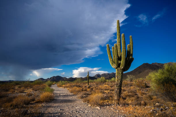 istock Monsoon clouds build over the McDowell Mountains 1646497603