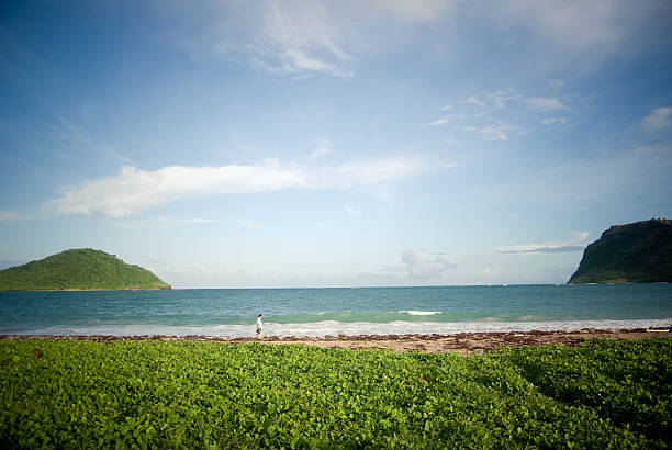 息を呑むようなビーチの風景、山々や遠くの人々 - st lucia antilles eco tourism tourism ストックフォトと画像