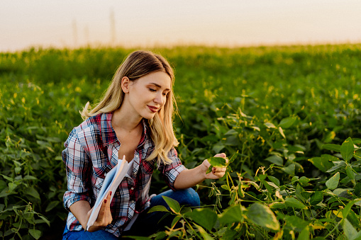 Portrait of a young woman in her agriculture field