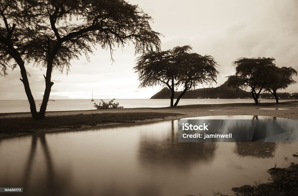 Paysage de plage en Sépia - Photo de Antilles occidentales libre de droits