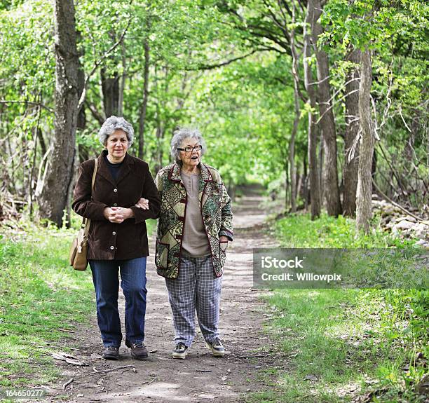 Mulher Andar Juntos Em Trilho De Natureza - Fotografias de stock e mais imagens de Andar - Andar, Terceira idade, Parque público