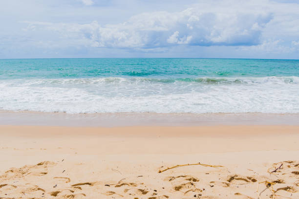 Muro alto beach at Porto de galinhas, Pernambuco, Brazil.